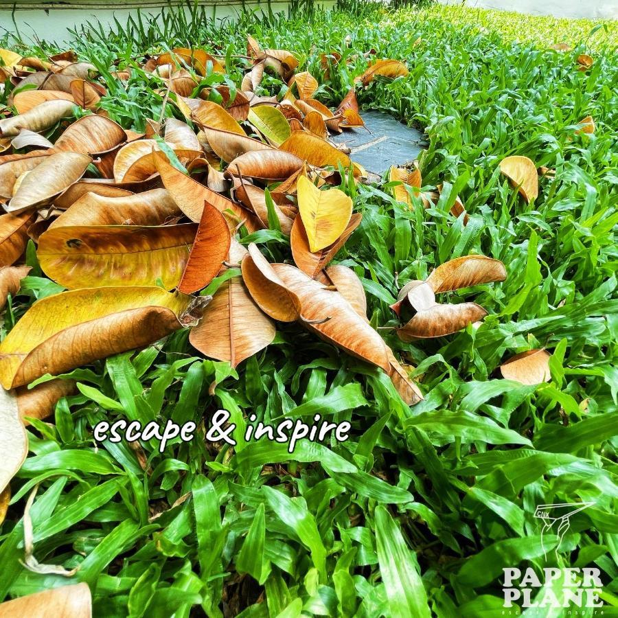Paper Plane Cnx Bed & Breakfast Chiang Mai Exterior foto